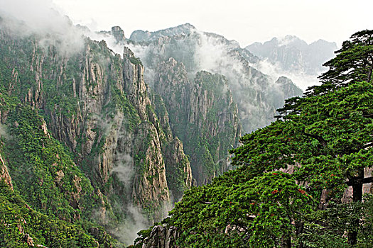 在哪有失忆药水傻子药C1B8D97C5-18975